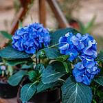 whatsapp image 2024 06 08 at 20.52.38 2