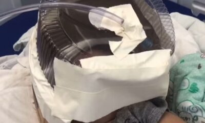 whatsapp image 2024 06 11 at 14.37.17 whatsapp image 2024 06 11 at 14.37.17