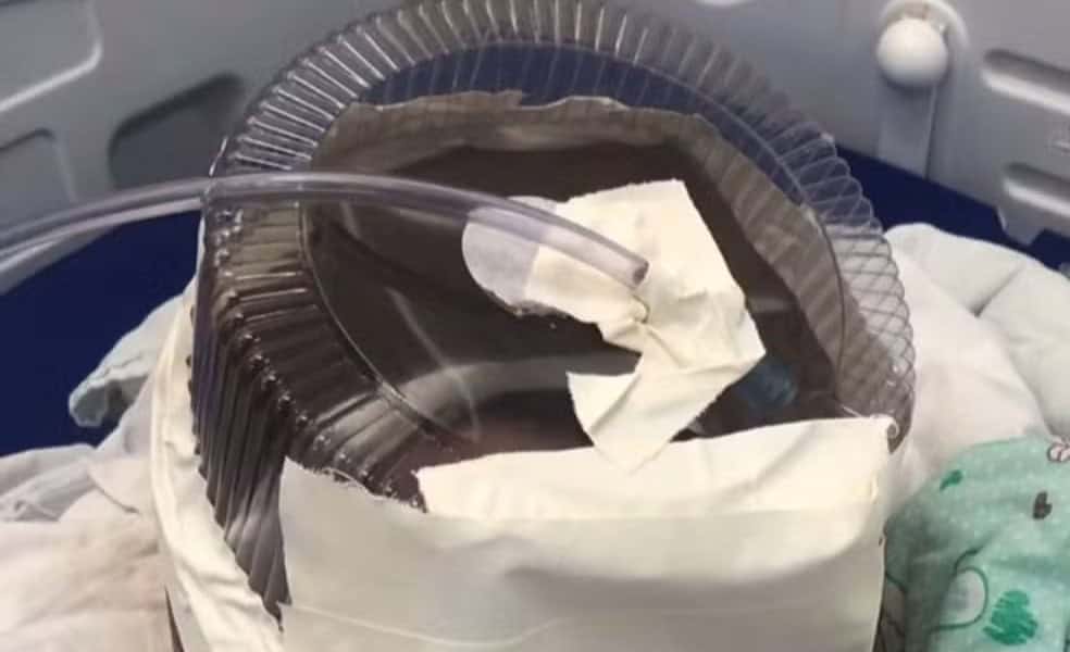 whatsapp image 2024 06 11 at 14.37.17 whatsapp image 2024 06 11 at 14.37.17