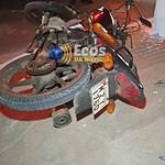 whatsapp image 2024 06 12 at 09.20.03