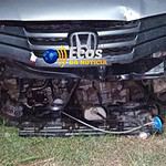 whatsapp image 2024 06 18 at 03.03.04