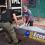 whatsapp image 2024 06 22 at 08.22.45