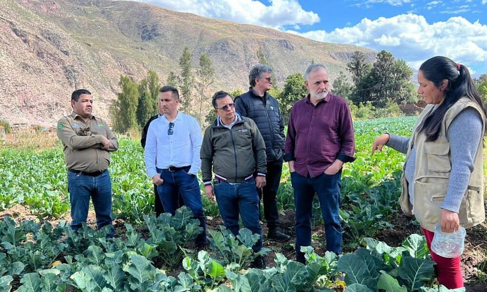 whatsapp image 2024 06 24 at 15.50.16 1536×1152 1 1024×768 whatsapp image 2024 06 24 at 15.50.16 1536x1152 1 1024x768