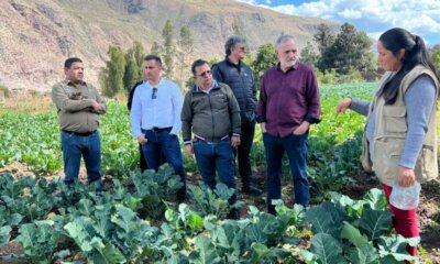 whatsapp image 2024 06 24 at 15.50.16 1536×1152 1 1024×768 whatsapp image 2024 06 24 at 15.50.16 1536x1152 1 1024x768