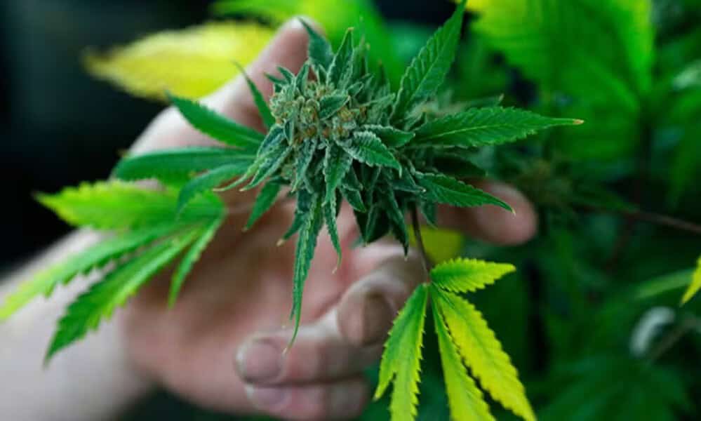 whatsapp image 2024 06 25 at 18.17.54 whatsapp image 2024 06 25 at 18.17.54