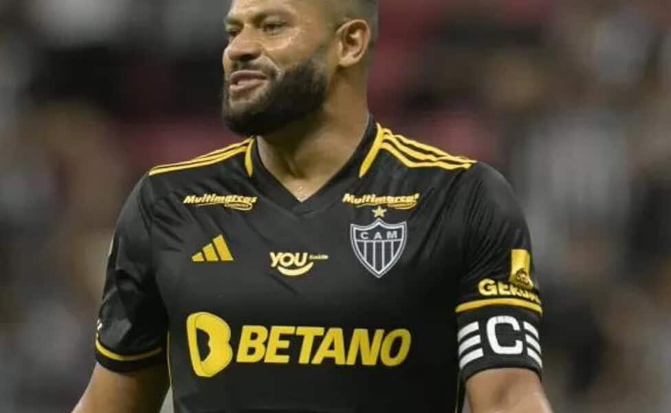 23 anos (15) 23 anos (15)