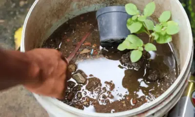 31012024 124a7558 1000×600 31012024 124a7558 1000x600