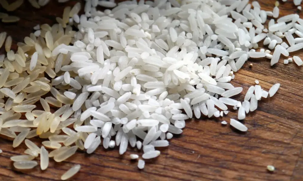 arroz a8602b (1) arroz a8602b (1)