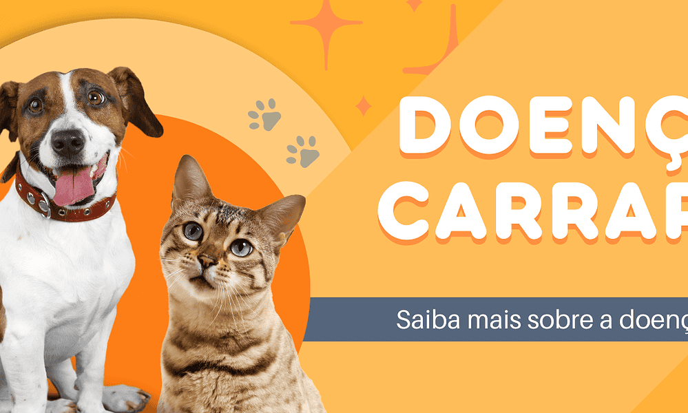 banner doença do carrapato banner doença do carrapato