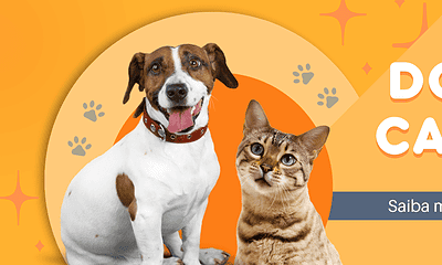 banner doença do carrapato banner doença do carrapato