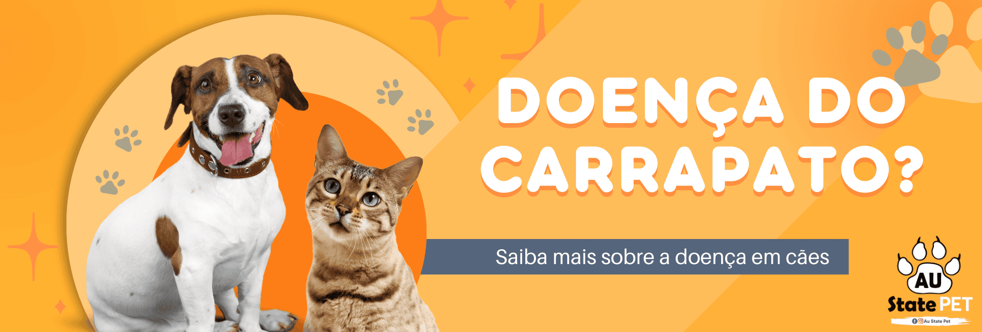 Doença do carrapato em cães: O que é e como identificar?
