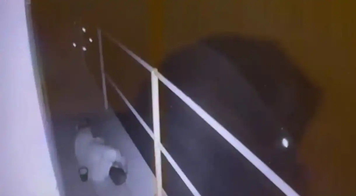 Vídeo mostra momento em que o ator Thommy Schiavo cai de sacada e morre