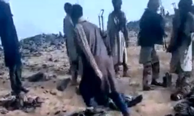 capturar 233d69 capturar 233d69