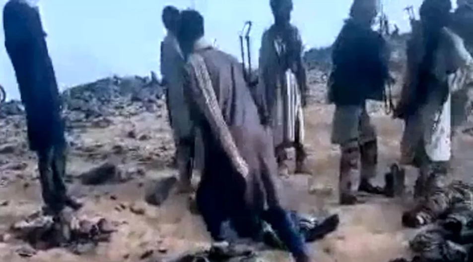 capturar 233d69
