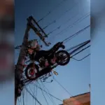 design sem nome 2024 07 22t081939.874 (1)