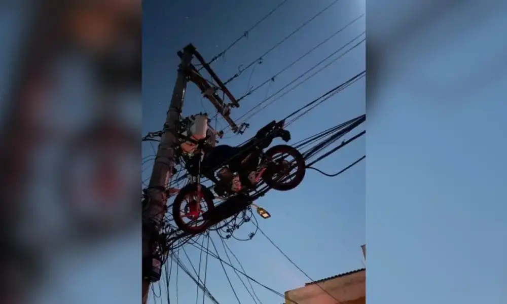 design sem nome 2024 07 22t081939.874 design sem nome 2024 07 22t081939.874