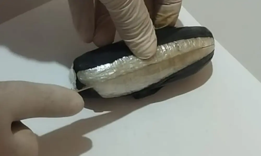 extra 2024 07 17t131306 extra 2024 07 17t131306