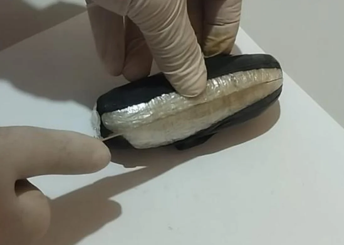 Mulher tenta entrar em presídio com maconha nas partes íntimas