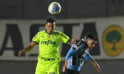 gremio palmeiras brasileiro gremio palmeiras brasileiro