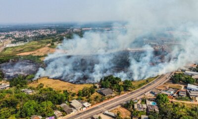 image0 8 1000×600 image0 8 1000x600