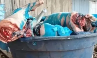 img 0031 1 img 0031 1