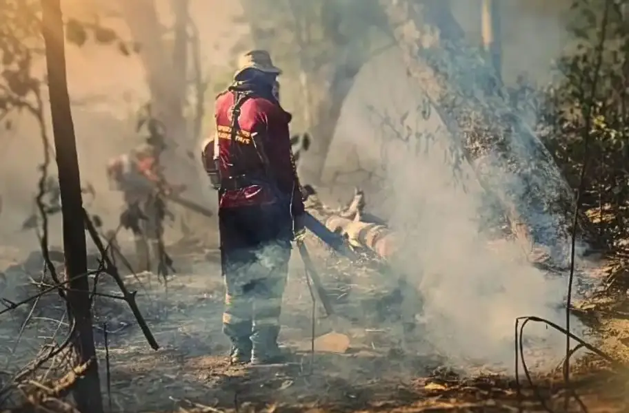 incendios pantanal ms incendios pantanal ms