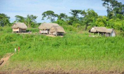 ind1 1024x678 1 1000x600