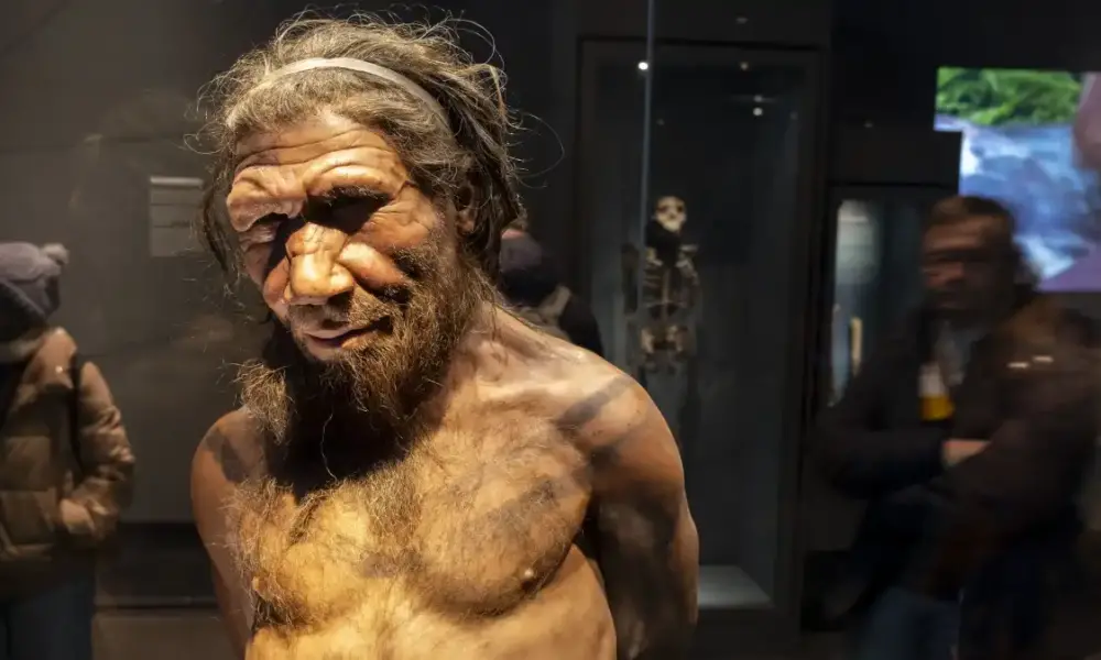 neandertal e1722439383321 neandertal e1722439383321