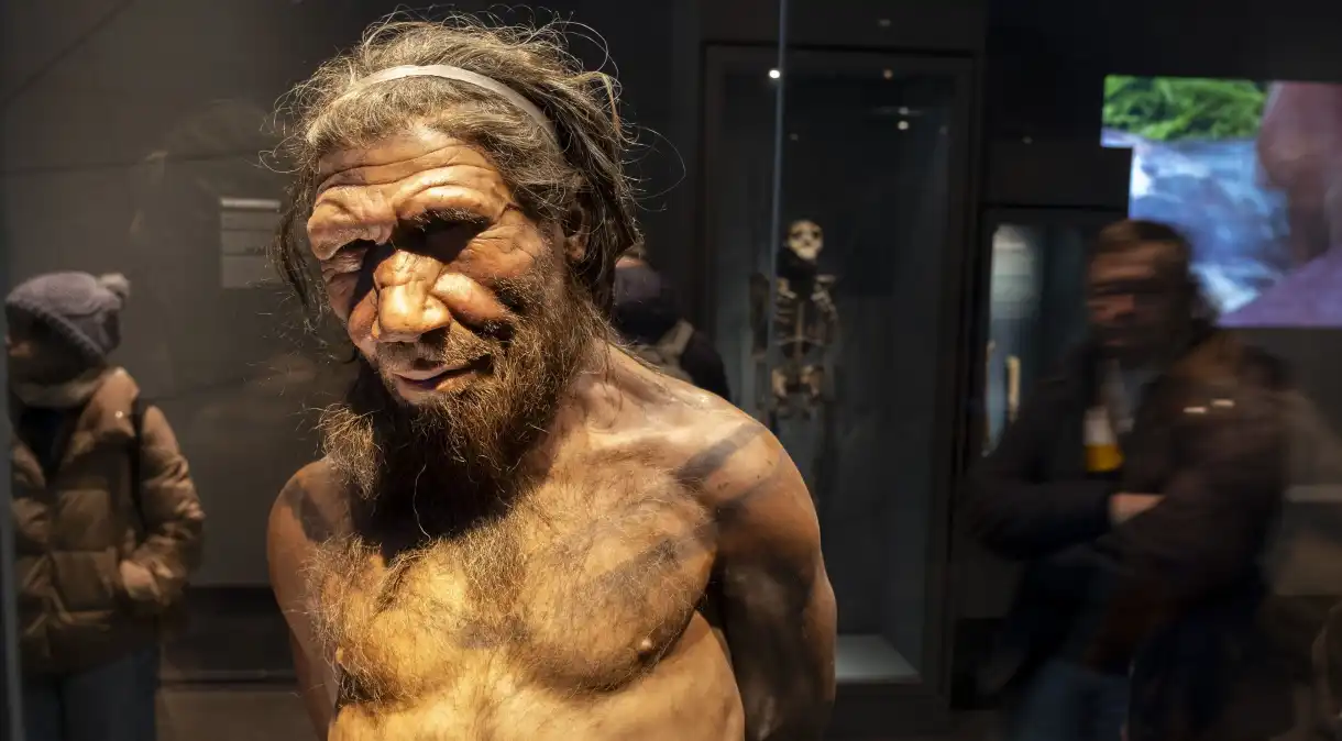 DNA ajuda a explicar fim dos neandertais e como eles conviveram com humanos