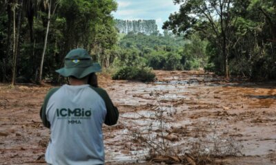 oeco icmbio brumadinho felipe werneck ibama 768×512 oeco icmbio brumadinho felipe werneck ibama 768x512