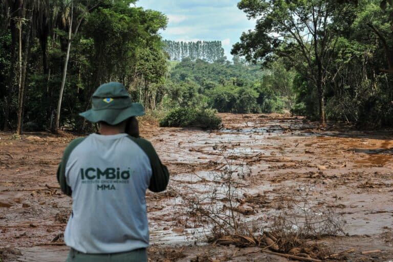 oeco icmbio brumadinho felipe werneck ibama 768x512