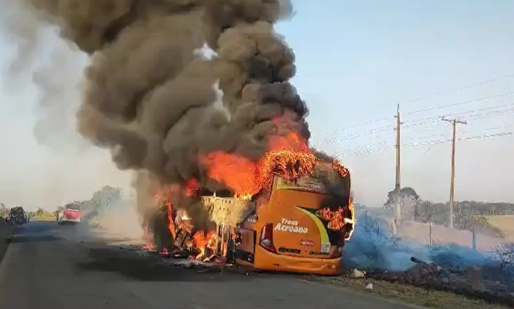 onibus 2