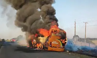 onibus 2 onibus 2