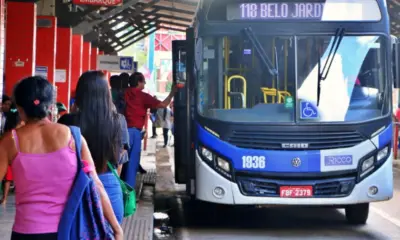 onibus gratuti 1000×600 onibus gratuti 1000x600