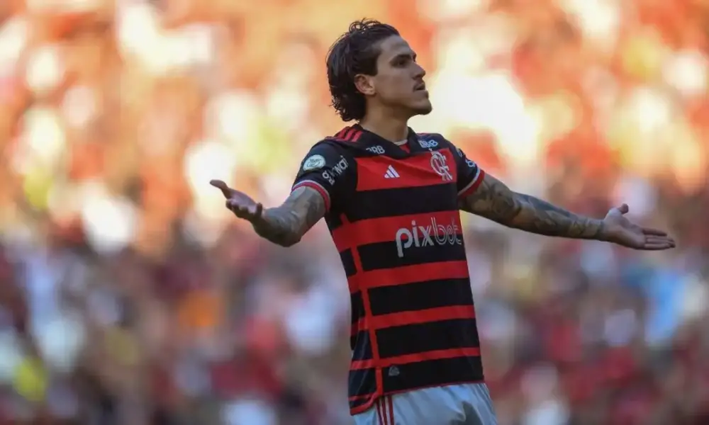pedro flamengo pedro flamengo