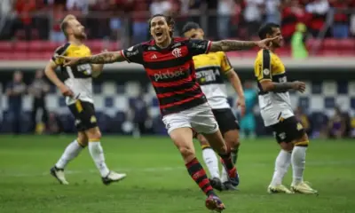 pedro flamengo criciuma e1721509955767 pedro flamengo criciuma e1721509955767
