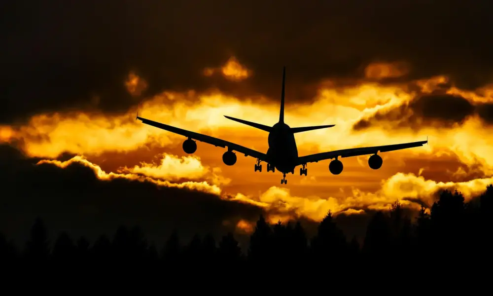 pexels pixabay 210199 pexels pixabay 210199