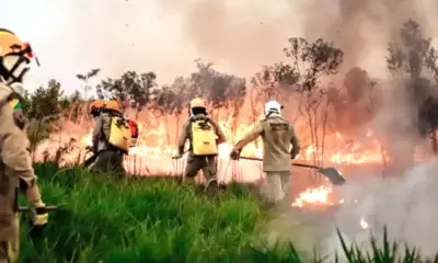 screenshot 20240717 230848 chrome 1 (1) screenshot 20240717 230848 chrome 1 (1)