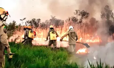 screenshot 20240717 230848 chrome 1 screenshot 20240717 230848 chrome 1