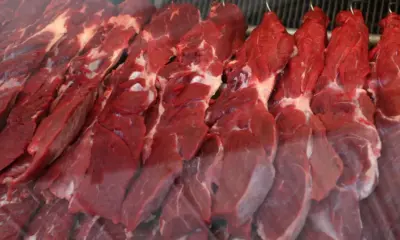 tagreuters.com2023binary lynxmpej7f0rx filedimage tagreuters.com2023binary lynxmpej7f0rx filedimage