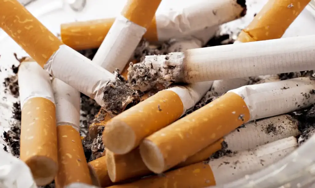 tobacco 2692246
