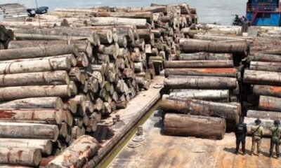 whatsapp image 2024 07 02 at 08.26.12 whatsapp image 2024 07 02 at 08.26.12