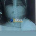 whatsapp image 2024 07 02 at 17.19.17