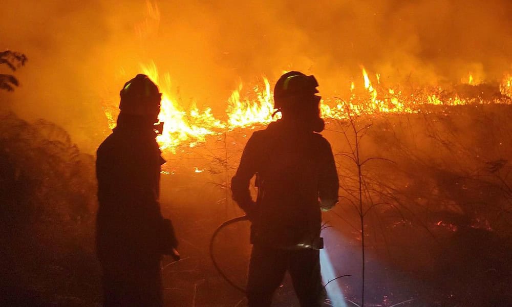 whatsapp image 2024 07 08 at 07.11.16 3 whatsapp image 2024 07 08 at 07.11.16 3