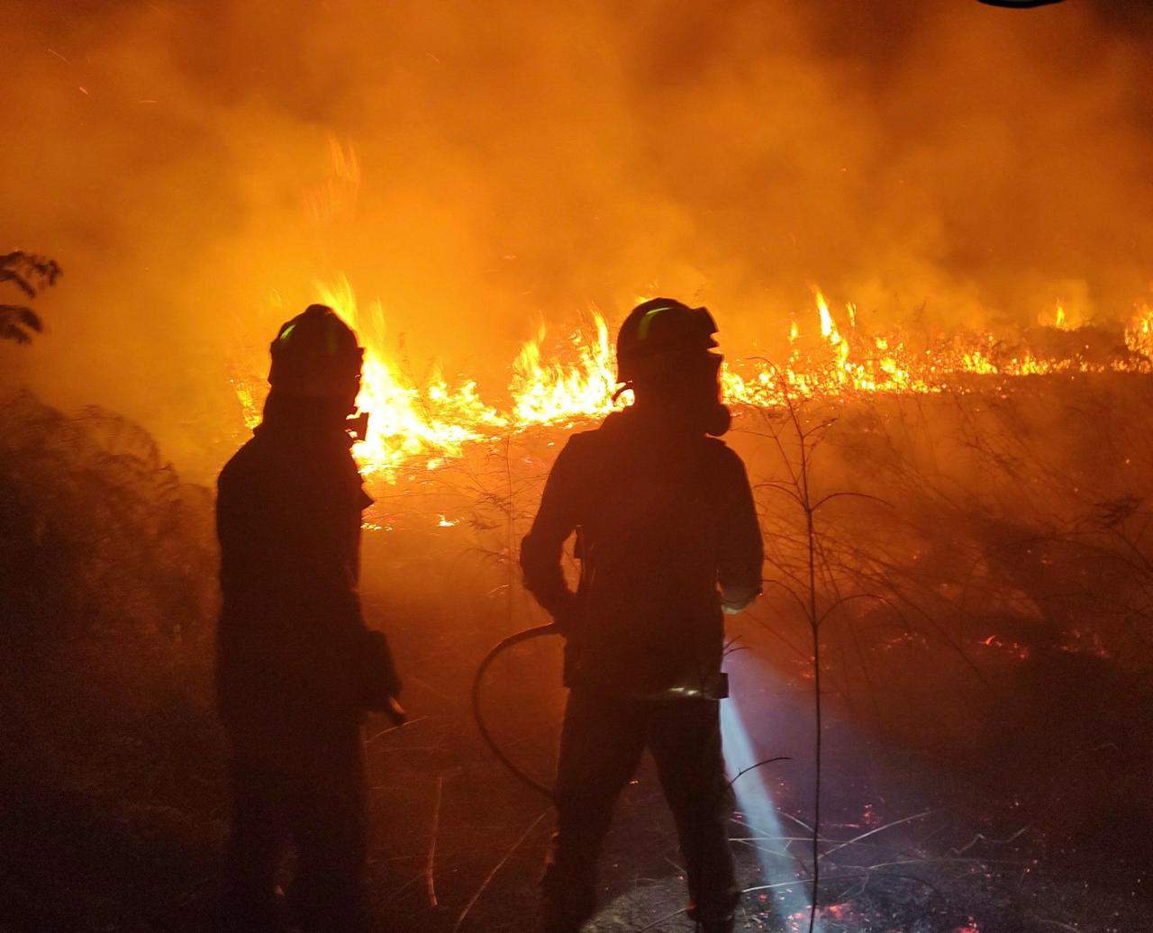 Sejusp amplia número de bombeiros para atuar no combate às queimadas