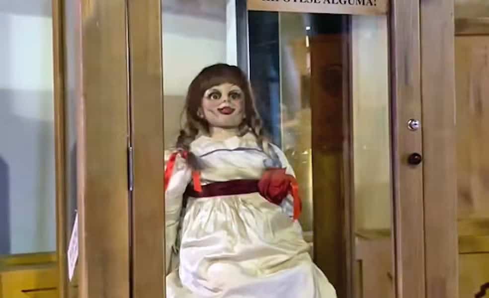 whatsapp image 2024 07 09 at 17.45.43 whatsapp image 2024 07 09 at 17.45.43