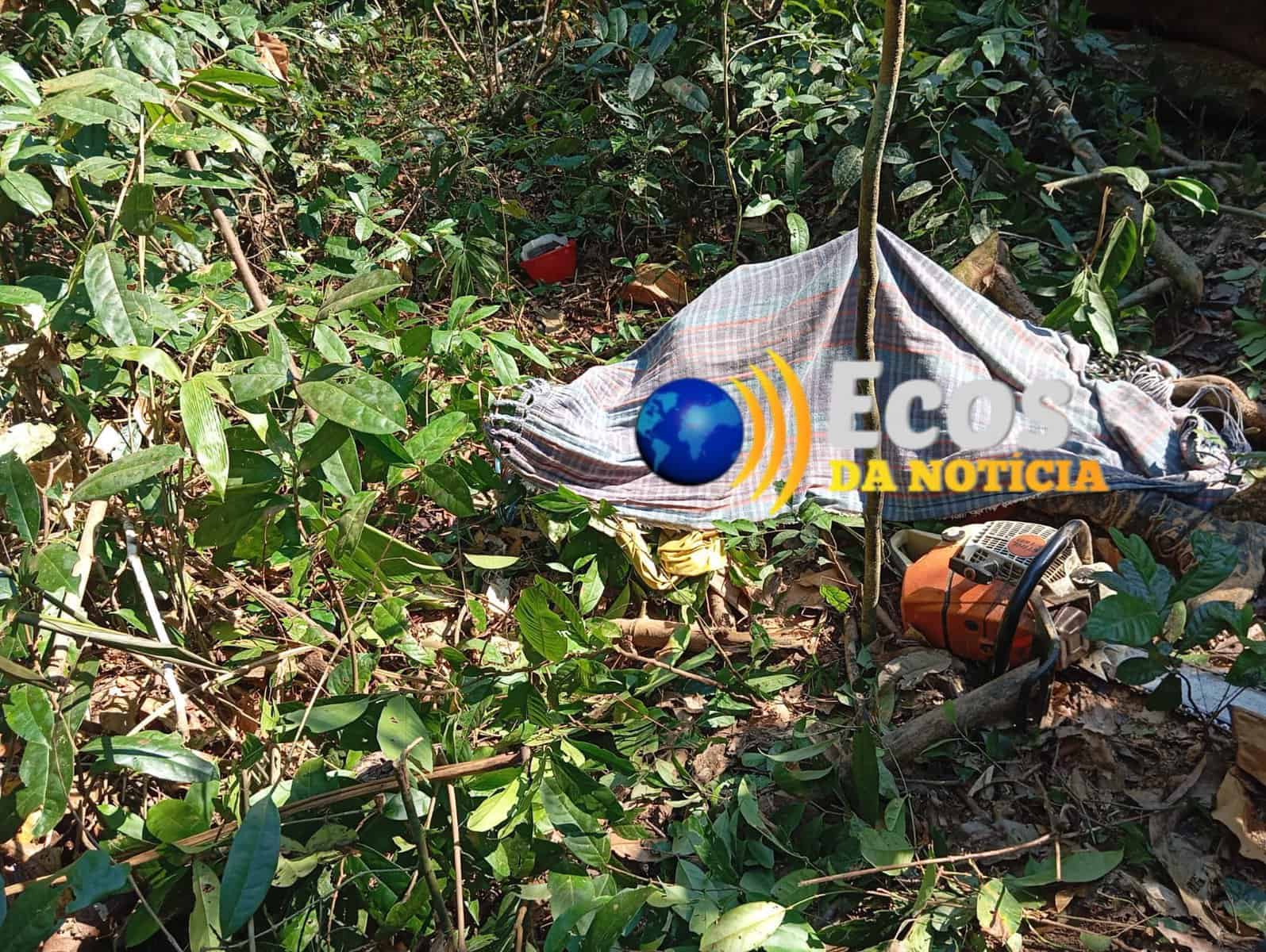 Colono morre durante derrubada de árvore no interior do Acre