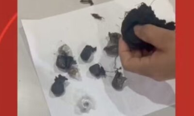 whatsapp image 2024 07 11 at 12.26.09