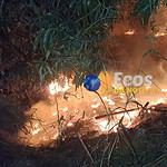 whatsapp image 2024 07 14 at 23.07.11