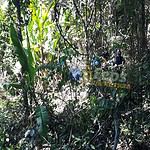 whatsapp image 2024 07 16 at 16.44.19